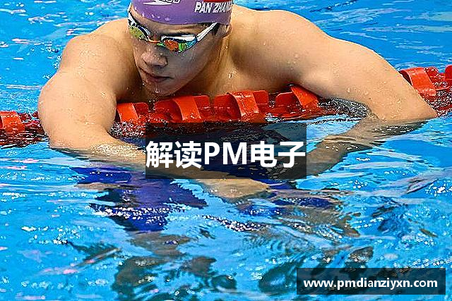 解读PM电子